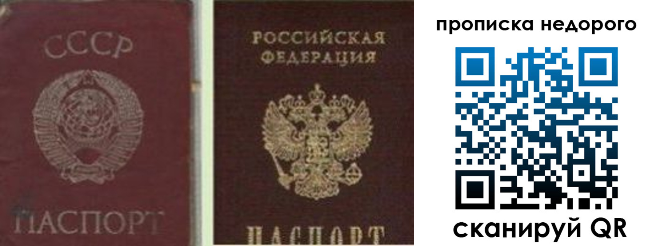 временная регистрация поиск в Реутове